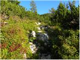 Planina Kosmačeve Rastke - Velika Raduha